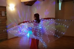 Olga LED-tiibadega